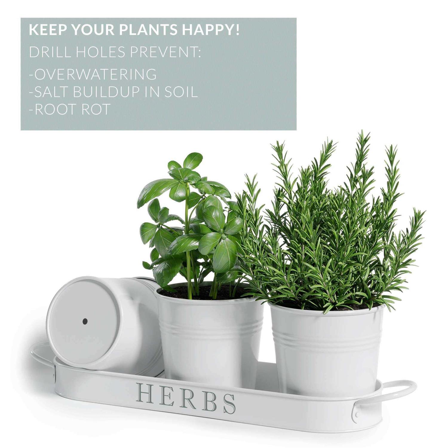 Barnyard Designs Herb Planter Set with Tray Indoor Garden or Outdoor - Image 4