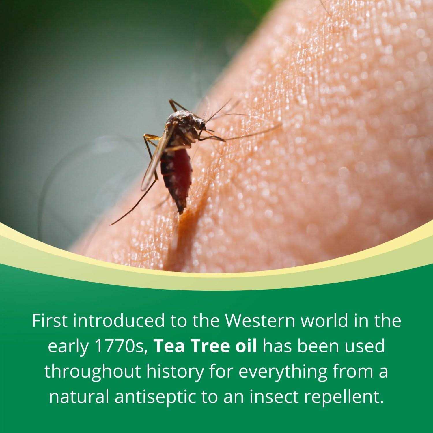 Spring Valley 100% Pure Australian Tea Tree Oil - Image 4