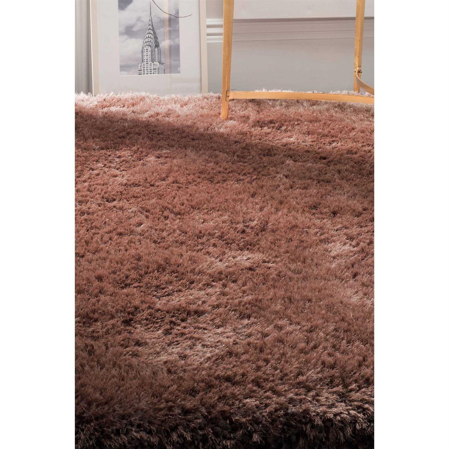 Safavieh Area Rug Shag - Image 4