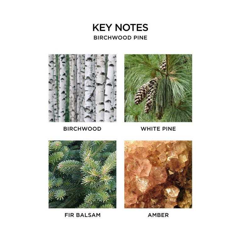 Nest Birchwood Pine Candle - Image 4