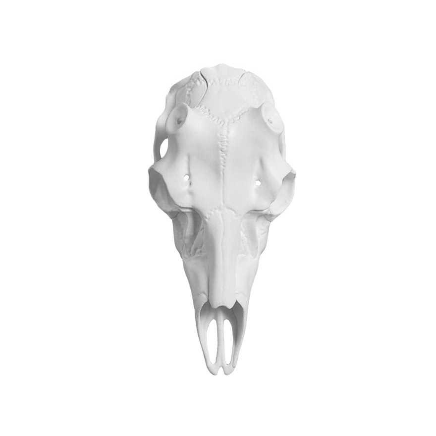 Mountain Mike's Deer Skull Kit - Image 3