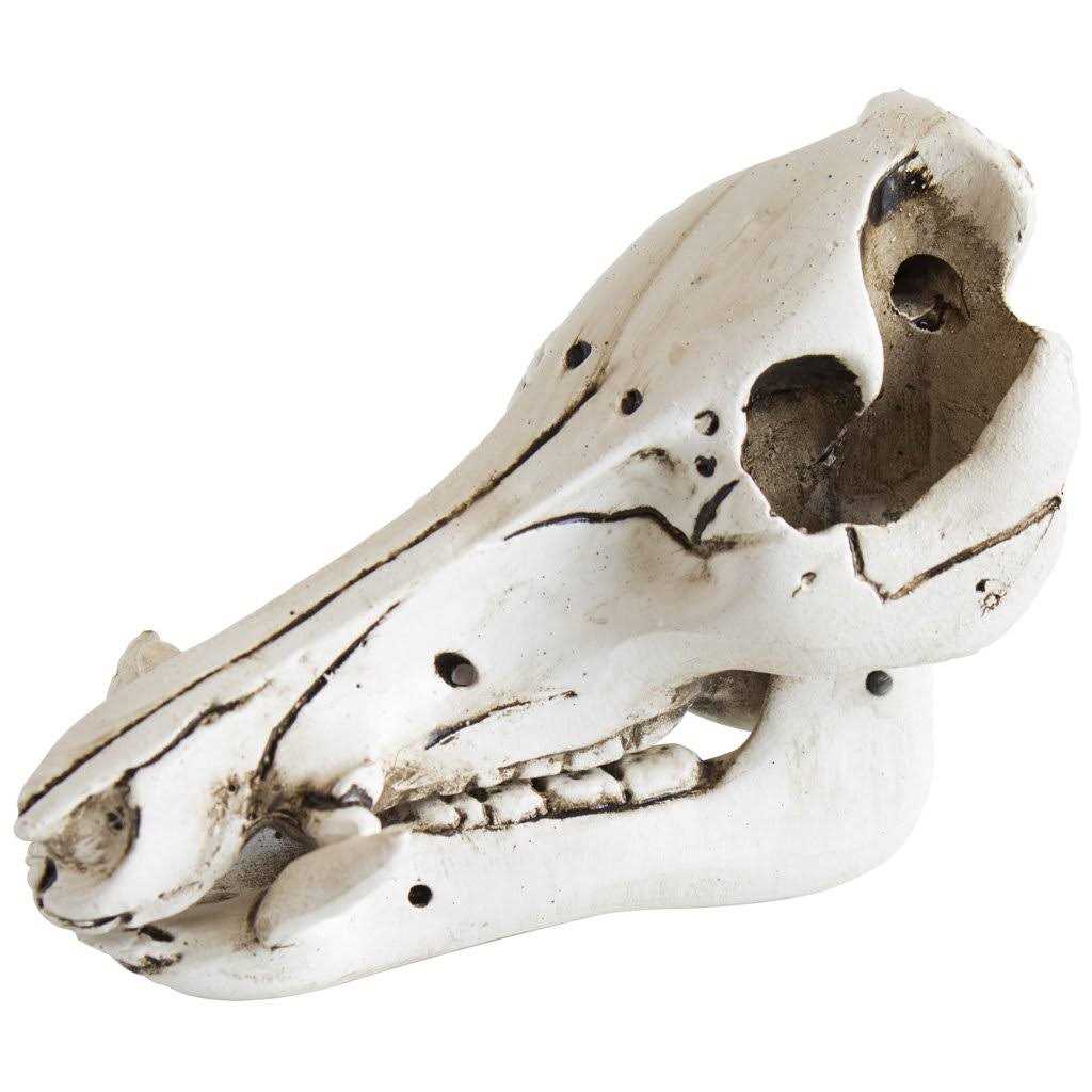 Mountain Mike's Deer Skull Kit - Image 5