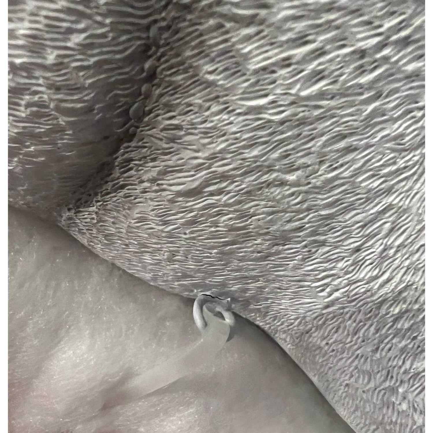 Midlee Christmas Penguin Stairway Holiday Decoration - Image 3