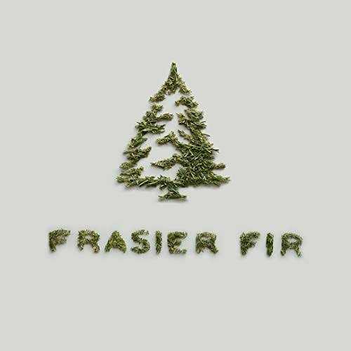 Thymes Frasier Fir Candle Tin - Image 4