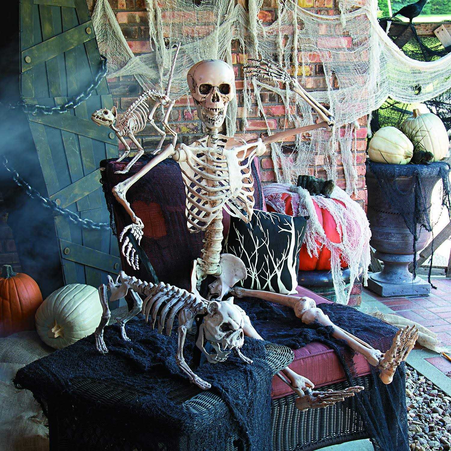 5 Ft Life-Size Posable Skeleton Halloween Decoration - Image 4