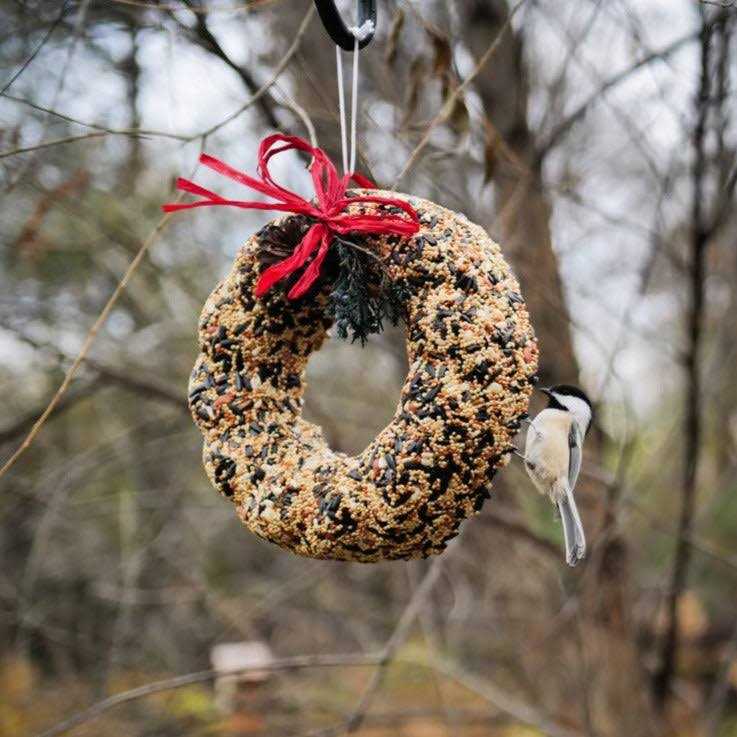 Mr. Bird Wildfeast Wreath - Image 3